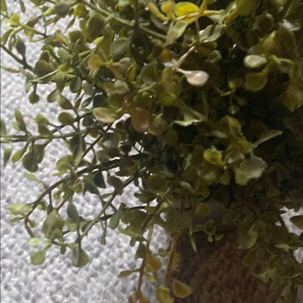 Artificial Eucalyptus Greenery Plant in Gray Pot